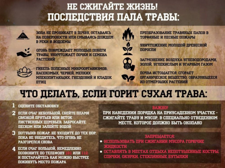 ПОСЛЕДСТВИЯ ПАЛА ТРАВЫ.
