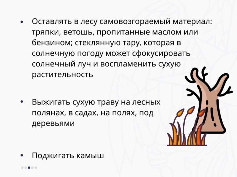 Берегите лес от огня: правила пожарной безопасности.